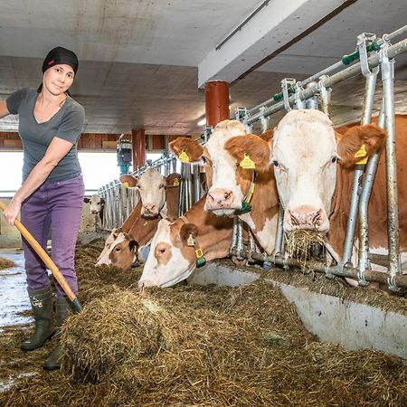 Ferienwohnung Angerlgut Sankt Koloman ภายนอก รูปภาพ