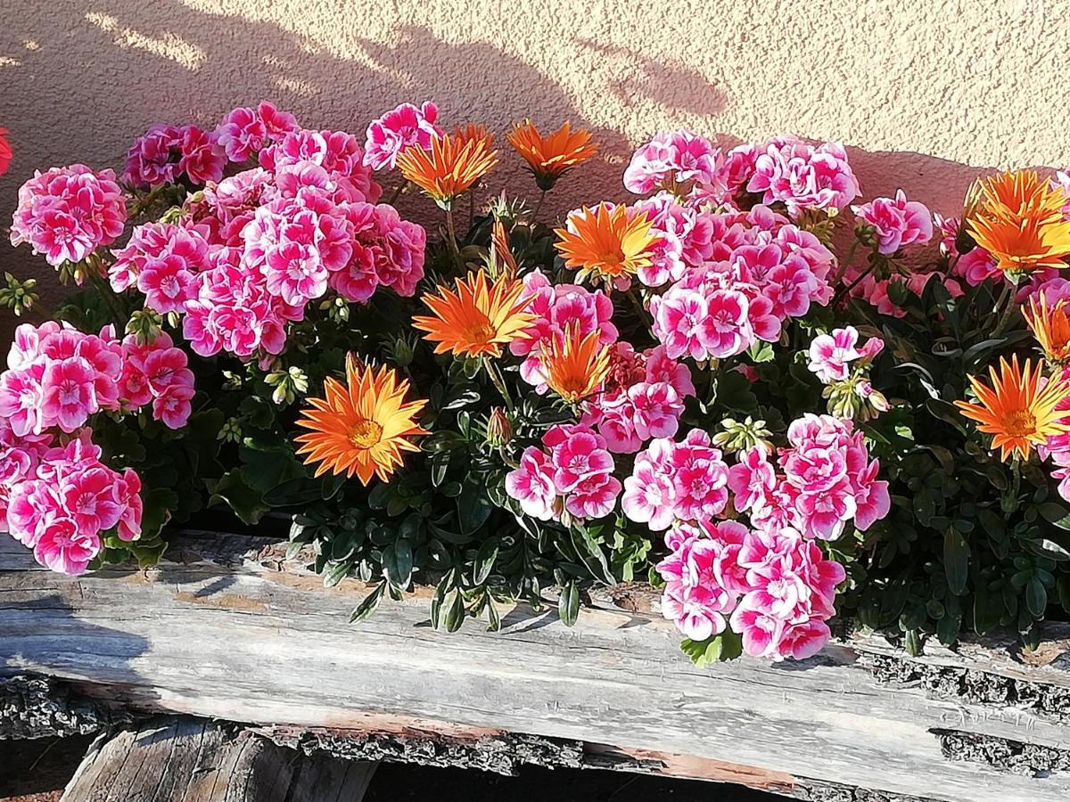 Ferienwohnung Angerlgut Sankt Koloman ภายนอก รูปภาพ
