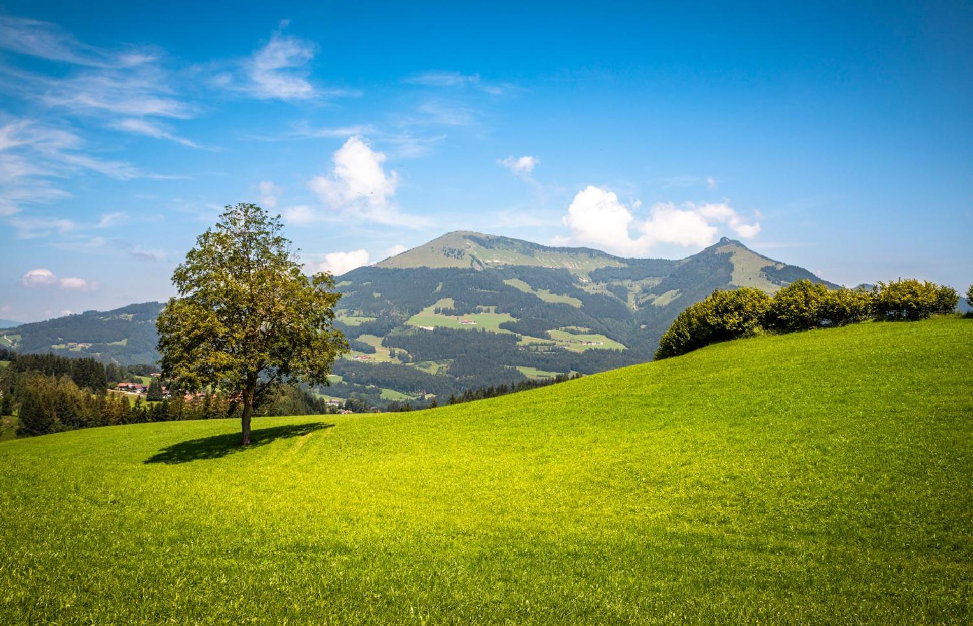 Ferienwohnung Angerlgut Sankt Koloman ภายนอก รูปภาพ
